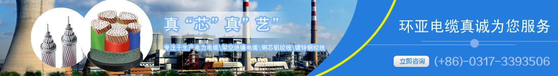 河北环亚线缆